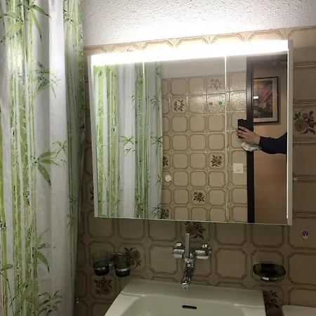 Apartamento Swiss Alps *