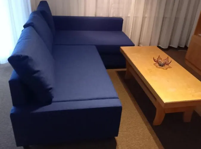 Swiss Alps Apartman *